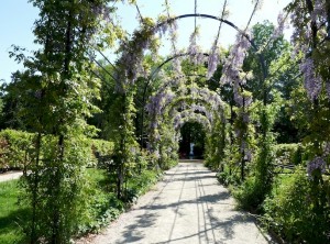 tuindelageoorsprong.nl1_-300x222